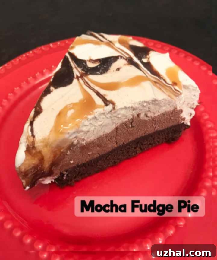 Mocha Fudge Pie with its luscious layers visible