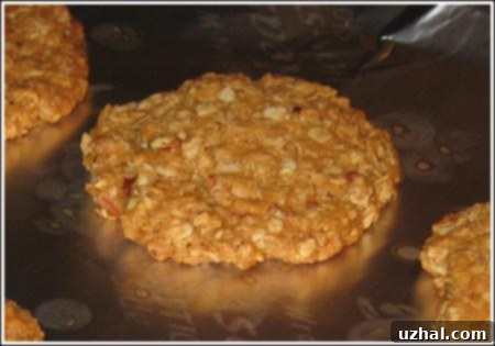 Crunchy Hearty Oatmeal Cookies with golden edges