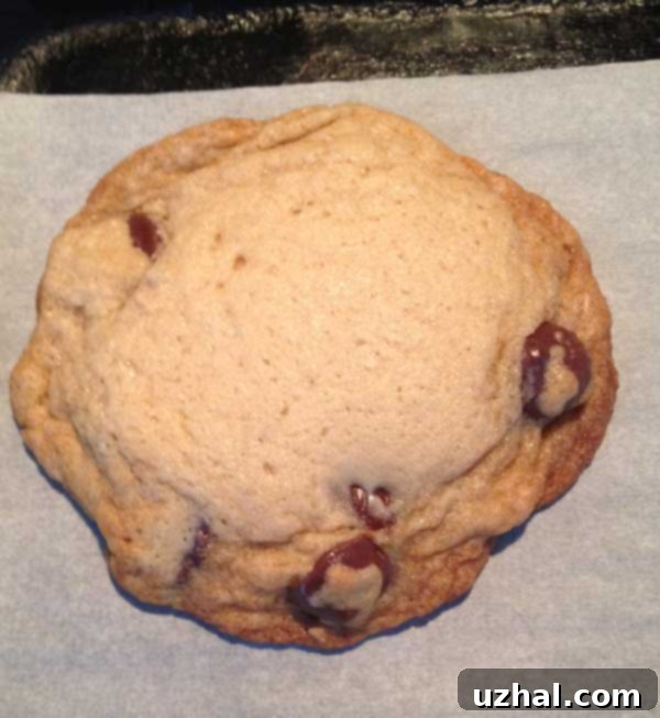 freshly baked chewy chocolate chip cookies cooling on a wire rack