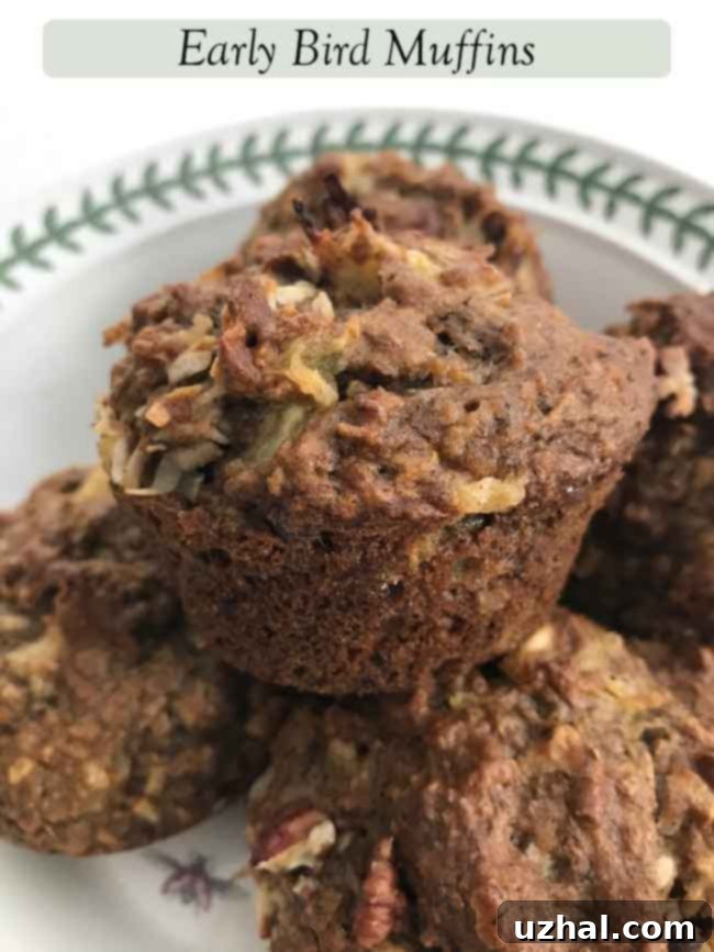 Early Bird Muffins from the Publix Bran Flakes box. A plate of golden brown muffins with some banana slices and coconut flakes around.