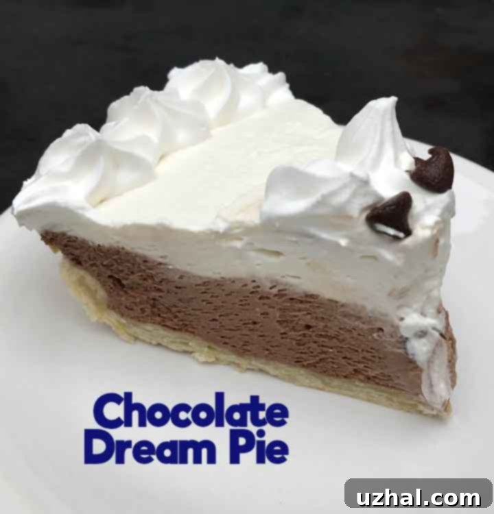 Homemade Classic Chocolate Dream Pie with whipped cream and chocolate shavings