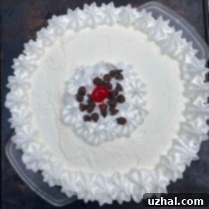 Delicious Chocolate Dream Pie with a light brown crust and thick whipped cream