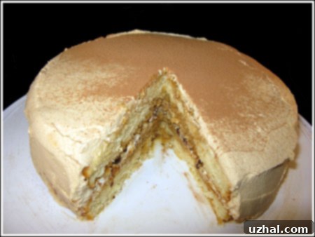 close-up of tiramisu cake slice