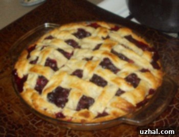 Classic lattice-top blueberry pie with a golden crust