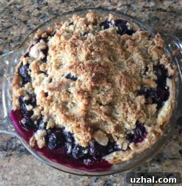 Blueberry pie with a golden crumb topping