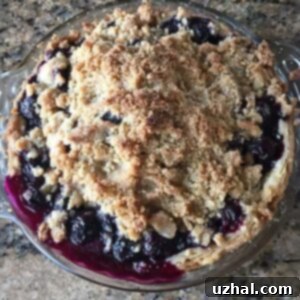 Blueberry Pie thickened with tapioca flour recipe