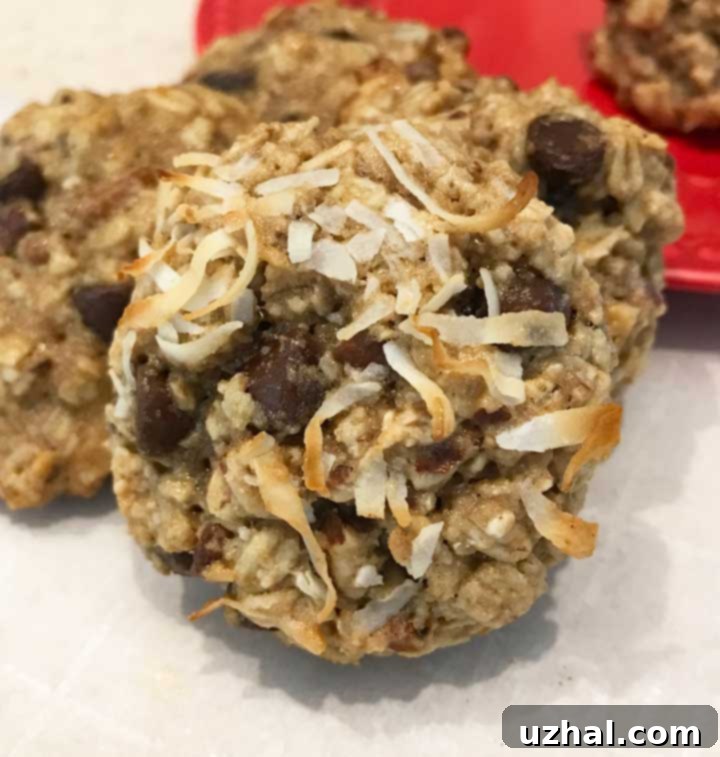Close-up of Vegan Oatmeal Chocolate Chip Cookies made with Aquafaba