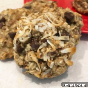 small batch vegan oatmeal chocolate chip cookies with aquafaba