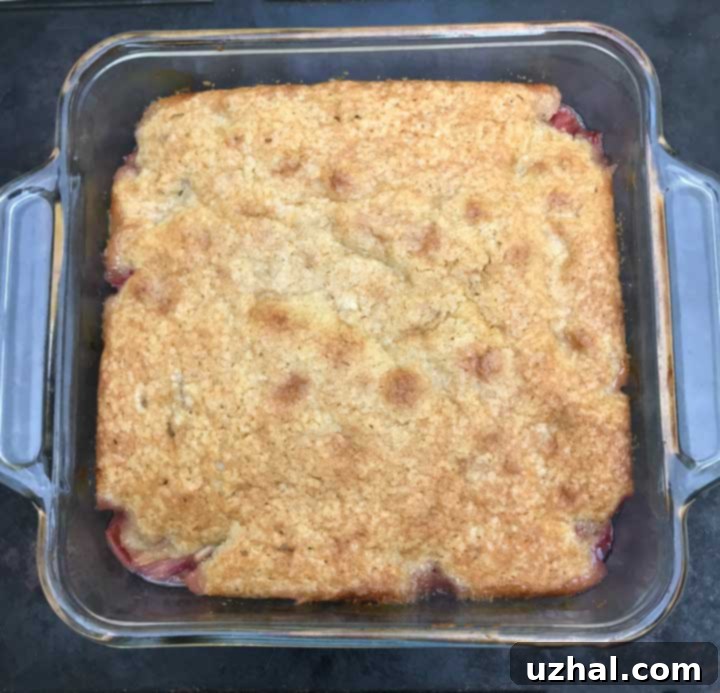 Delicious Rhubarb Pudding Cake, freshly baked