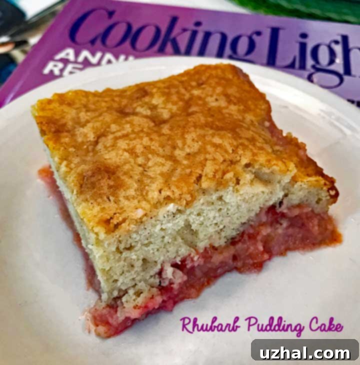 Rhubarb Pudding Cake served warm after chilling