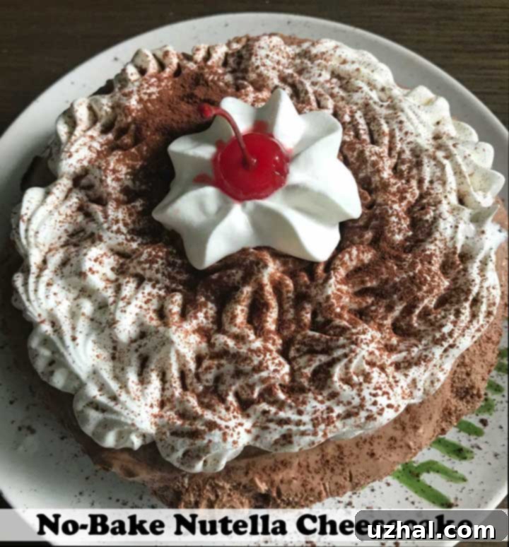 Heavenly Six-Inch No-Bake Nutella Cheesecake 2 Six Inch Nutella Cheesecake, showcasing a perfectly portioned dessert with a thick, creamy filling and an Oreo crust.