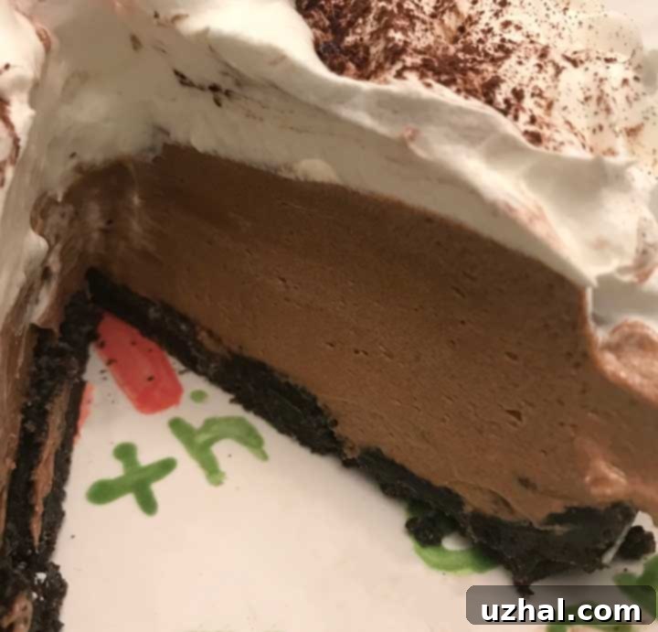 Heavenly Six-Inch No-Bake Nutella Cheesecake 3 Six Inch No Bake Nutella Cheesecake texture photo, showing a creamy, smooth slice of cheesecake.