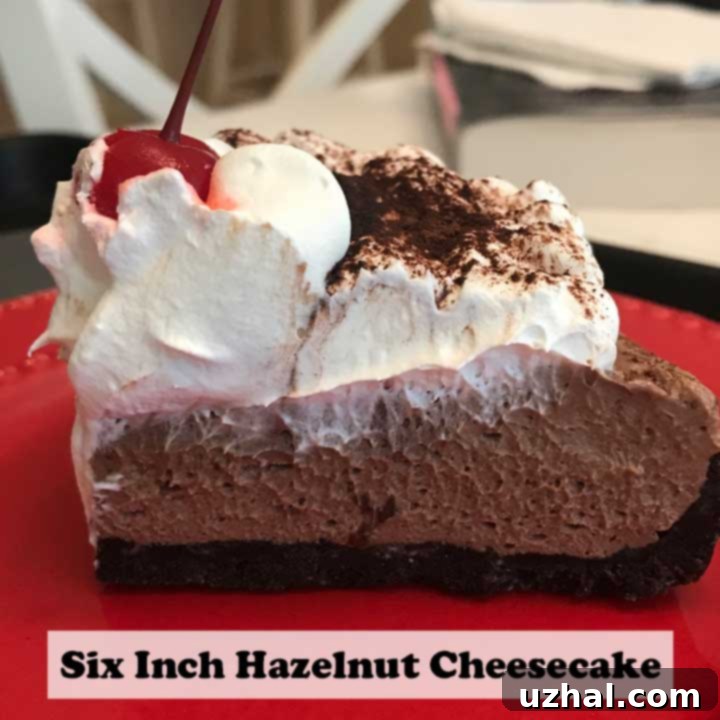 Heavenly Six-Inch No-Bake Nutella Cheesecake 4 A slice of 6-inch No-Bake Nutella Cheesecake with a drizzle of chocolate syrup.