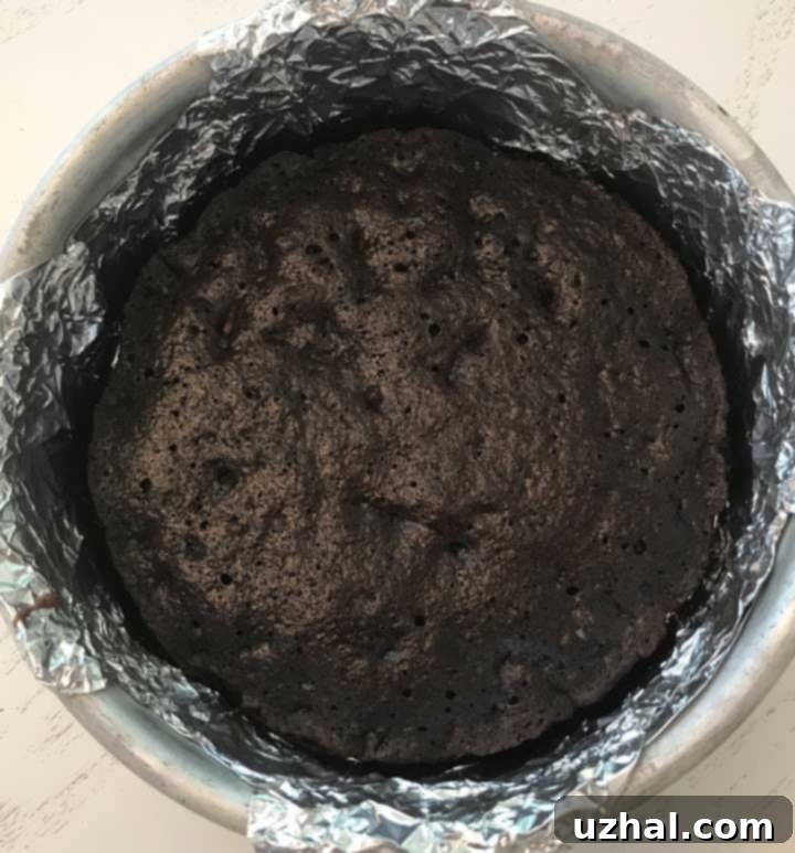 Heavenly Six-Inch No-Bake Nutella Cheesecake 5 Six Inch Brownie Crust, a rich chocolate base for cheesecake.