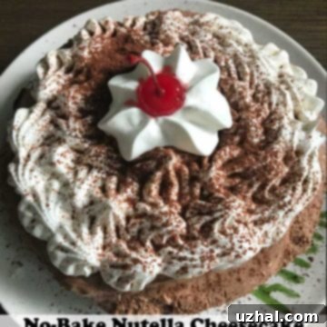 Heavenly Six-Inch No-Bake Nutella Cheesecake 6 Six Inch No Bake Nutella Cheesecake with whipped cream and cocoa powder.