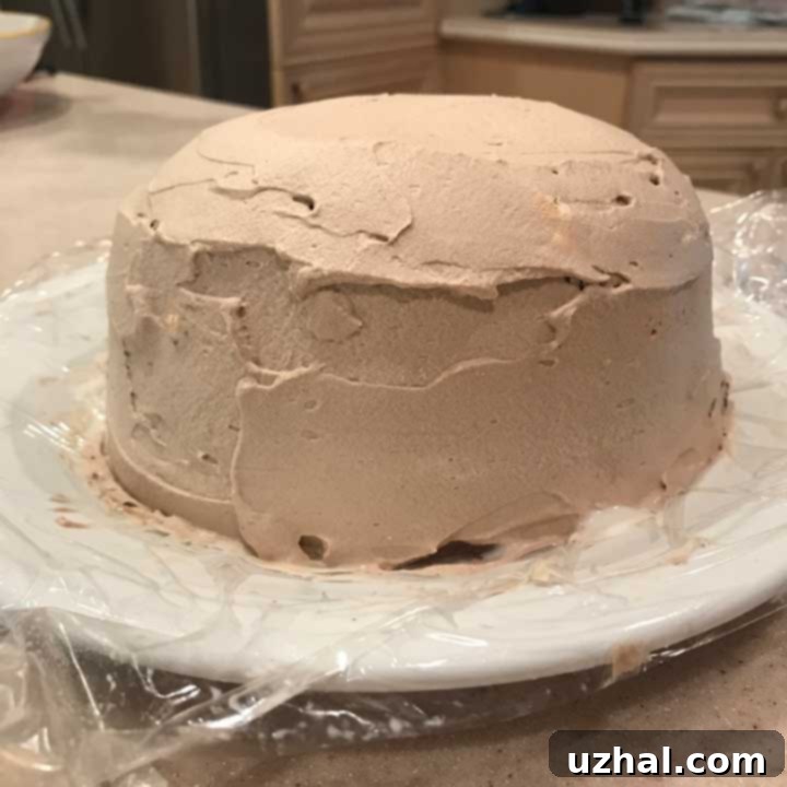 Assembled torte covered in smooth chocolate whipped cream, ready for freezing