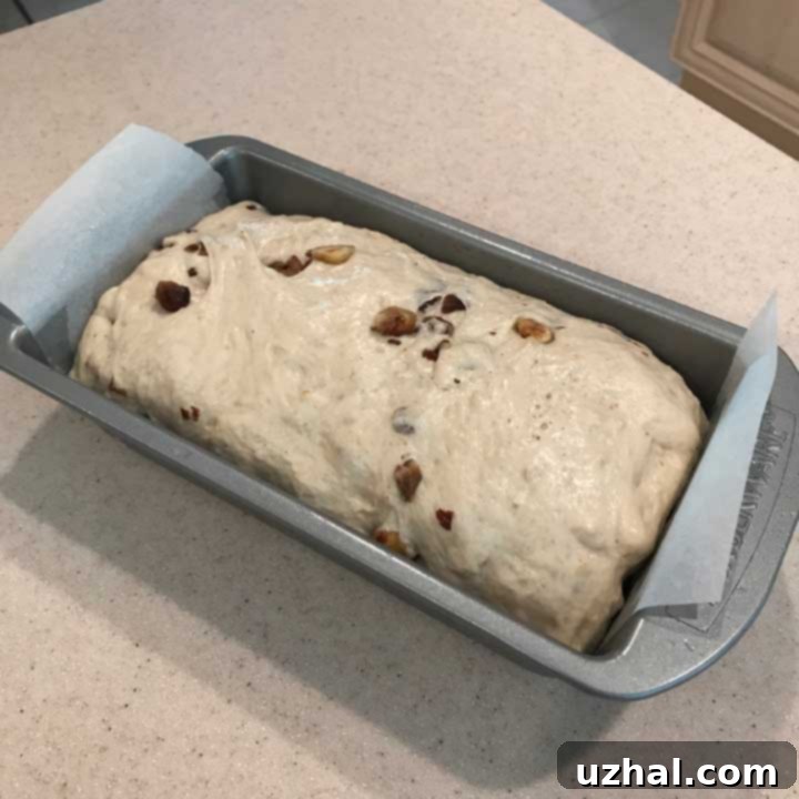 Hazelnut bread dough rising in a 9x5 inch loaf pan, ready for baking. The dough has risen to the top of the pan.