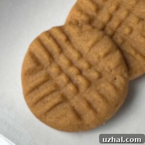 Thin & Chewy Peanut Butter Cookies adapted from Food Writers' Favorite Cookies