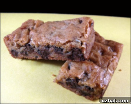 katys-favorte-blondies Close-up of Katy's Favorite Blondies showing dense texture and inclusions