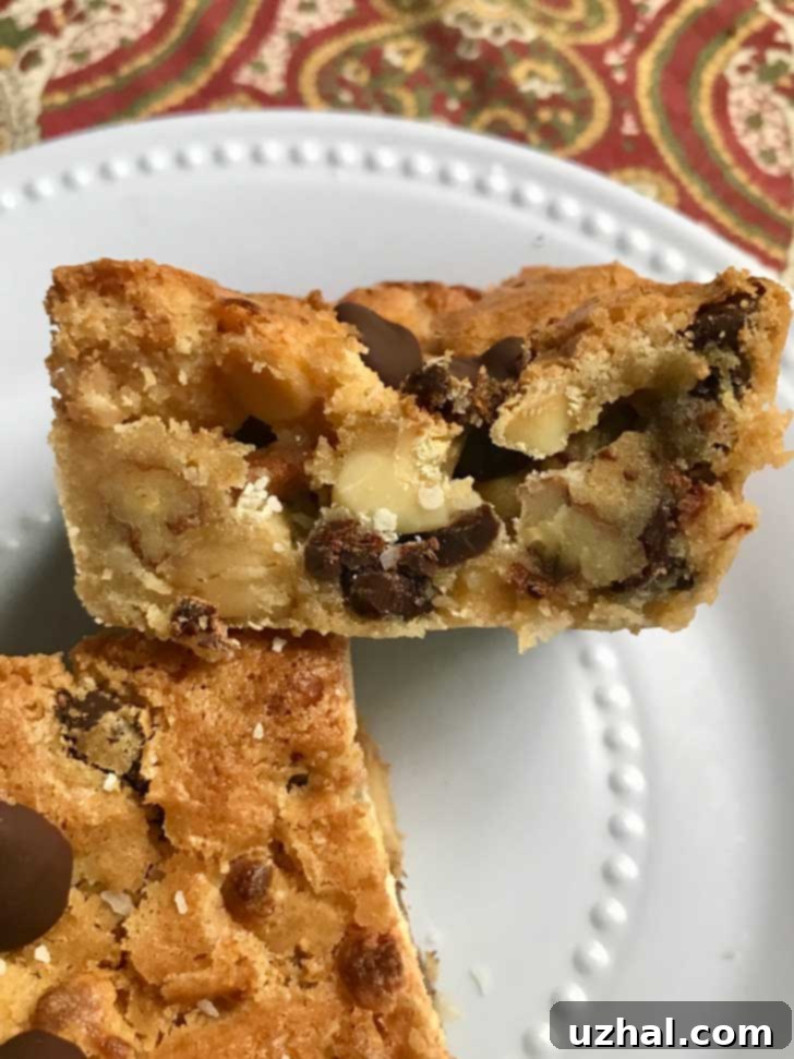 Katy's Irresistible Blondies 2 Small batch Blondies baked in a mini loaf pan, showing a rich, candy-like cross-section