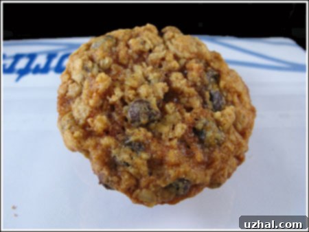 A close-up image of freshly baked Curry Coconut Oatmeal Chocolate Chip Cookies on a wire rack, showcasing their golden-brown edges, melted chocolate chips, and flecks of coconut and oats, with a hint of warm spice in their aroma.