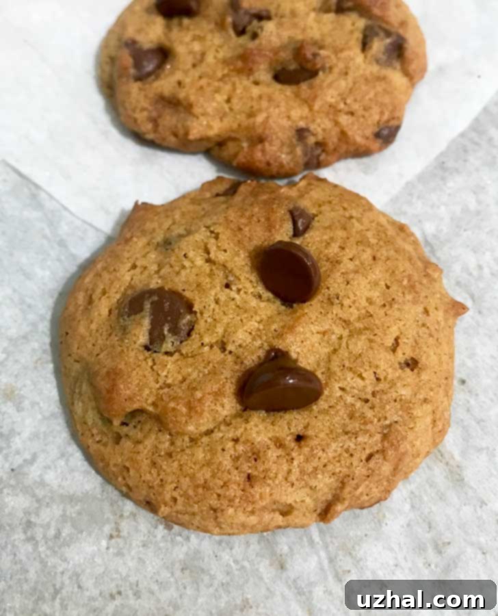 Roasted Canned Pumpkin Chocolate Chip Cookies