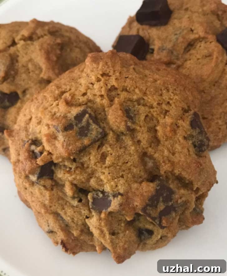 Gluten-Free Roasted Pumpkin Chocolate Chip Cookies