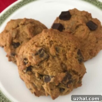 Gluten-Free Pumpkin Chocolate Chip