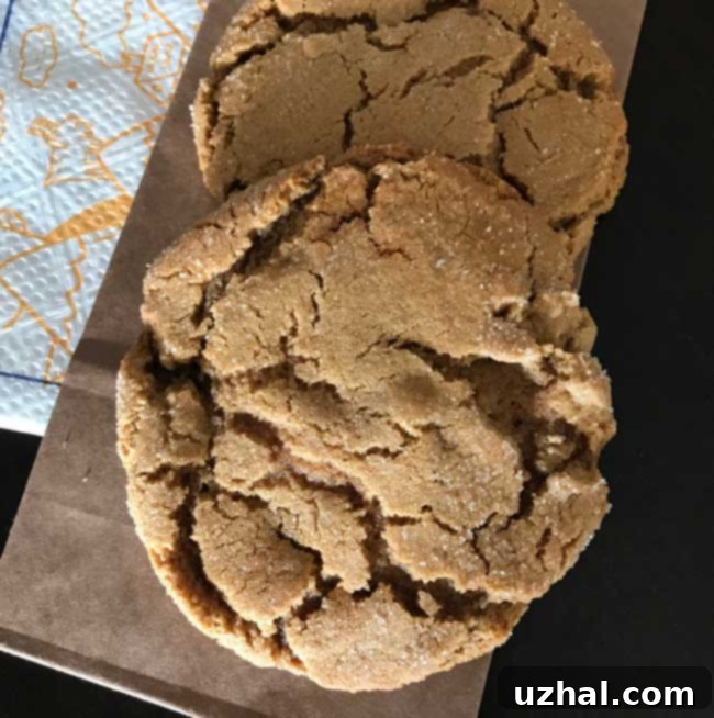 Spiced Molasses Cookies, showcasing their crackled top and golden brown edges