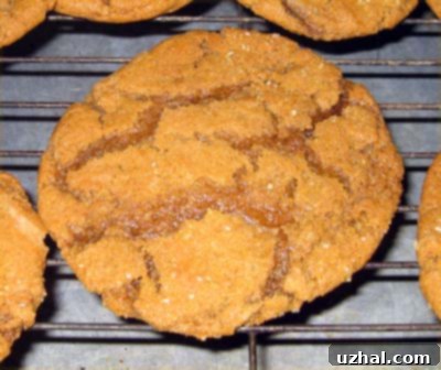 Close-up of Spiced Molasses Cookies, emphasizing the turbinado sugar coating and crackled surface