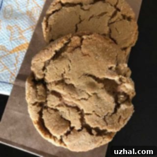 Molasses Cookies