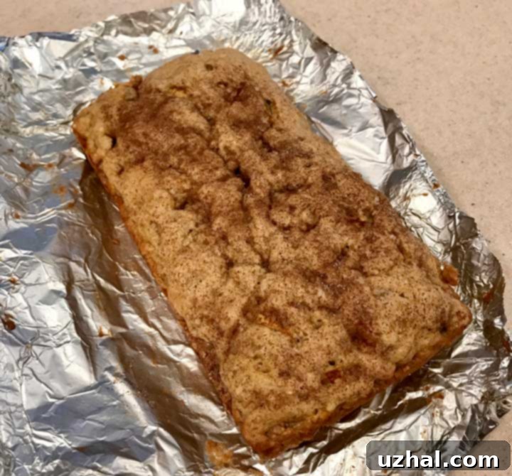Apple Spice Biscotti Thins
