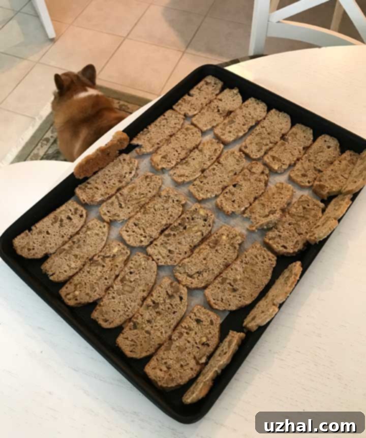 Sliced Apple Spice Biscotti Thins