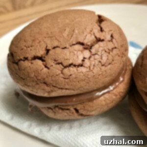 Nutella Sandwich Cookies are three Ingredient Nutella Sandwich Cookies calling for hazelnut spread, self-rising flour and an egg.