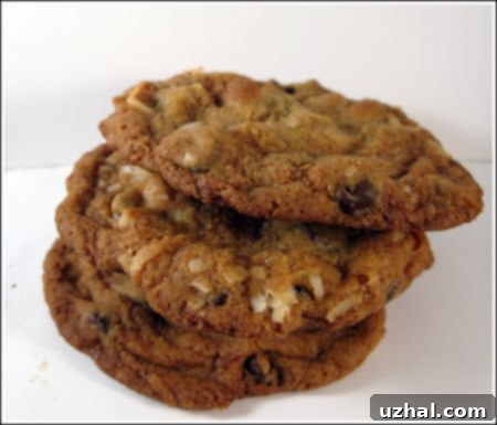 Close-up of Temptation Island Cookies, showing their dark brown color, chewy texture, ripples, and visible macadamia nuts and chocolate chips.