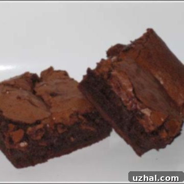 Close-up of a perfectly cut Maida's Palm Beach Brownie, revealing its rich, fudgy interior and crisp top crust.