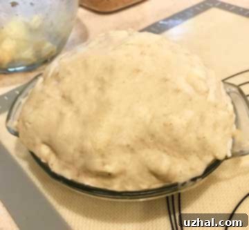 Store Bought Pie Dough