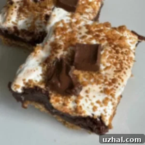 Gooey S'mores Bars from Cookie Madness - a delicious multi-layered dessert