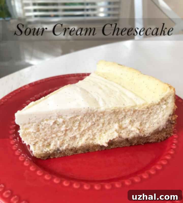 Sour Cream Cheesecake