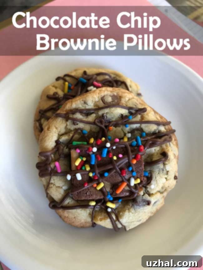 Chocolate Chip Brownie Pillows - A close-up of the delicious cookie