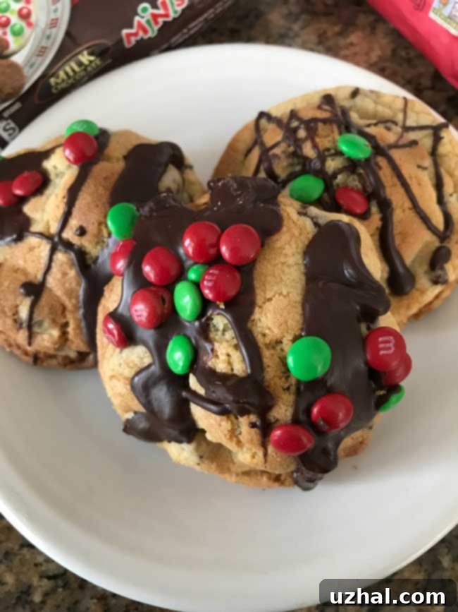 Chocolate Chip Cookie Pillows - A finished cookie ready to eat