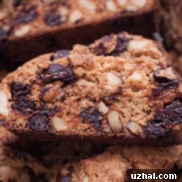 Keto Biscotti with Chocolate Chips and Pecans