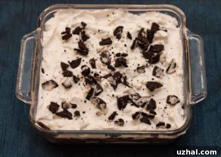 Scratch Chocolate Lasagna
