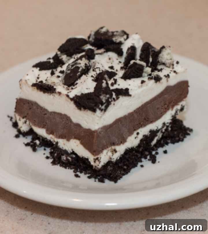 Frozen Chocolate Lasagna Portion