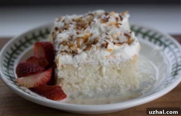 Tres Leches Madness: Exploring New Recipes