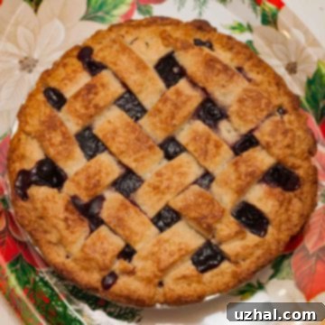 Frosty Cherry Berry Pie with a Secret Vodka Crust 3 Frozen Cherry Berry Pie