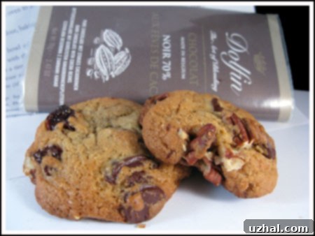 Dark Chocolate Cherry Cookies