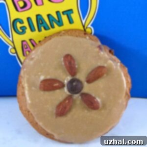 Malted Big Wheels Cookies with chocolate chips and almonds
