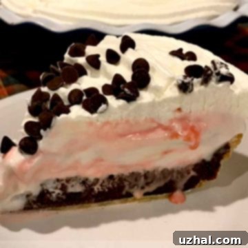 A top-down view of the whole Frozen Fudge Brownie Pie