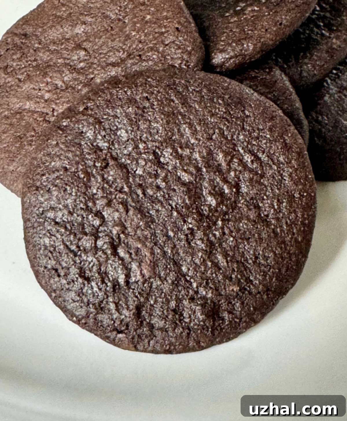 Homemade Nabisco Famous Wafers using a scratch recipe.